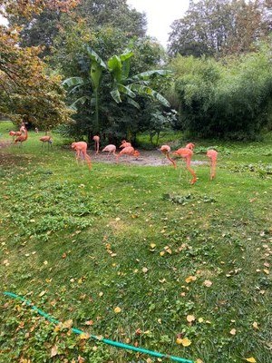 Jardin des Plantes 1