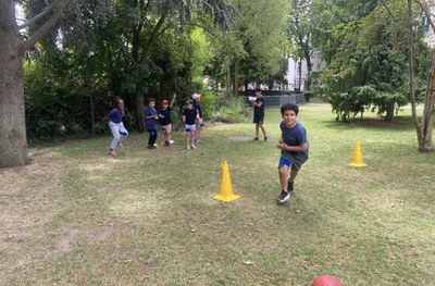 IMG 4536