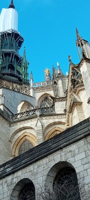 8c79776d 6db2 4b31 b889 fd2a04a80825